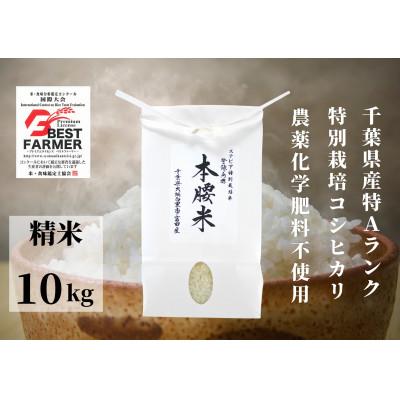 ふるさと納税 大網白里市 本腰米(白)10kg 特Aコシヒカリ(精米)