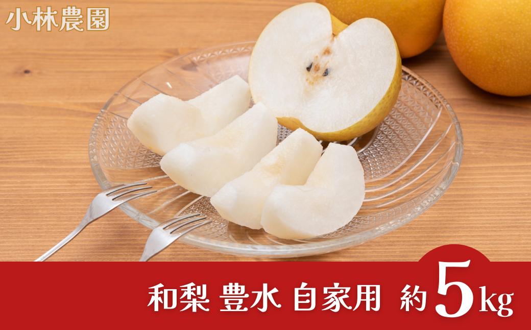 
                  先行予約 和梨 豊水 自家用 約5kg 豊水 梨 新潟県 三条市産 梨 ほうすい なし ナシ pear [小林農園]【010P072】
                