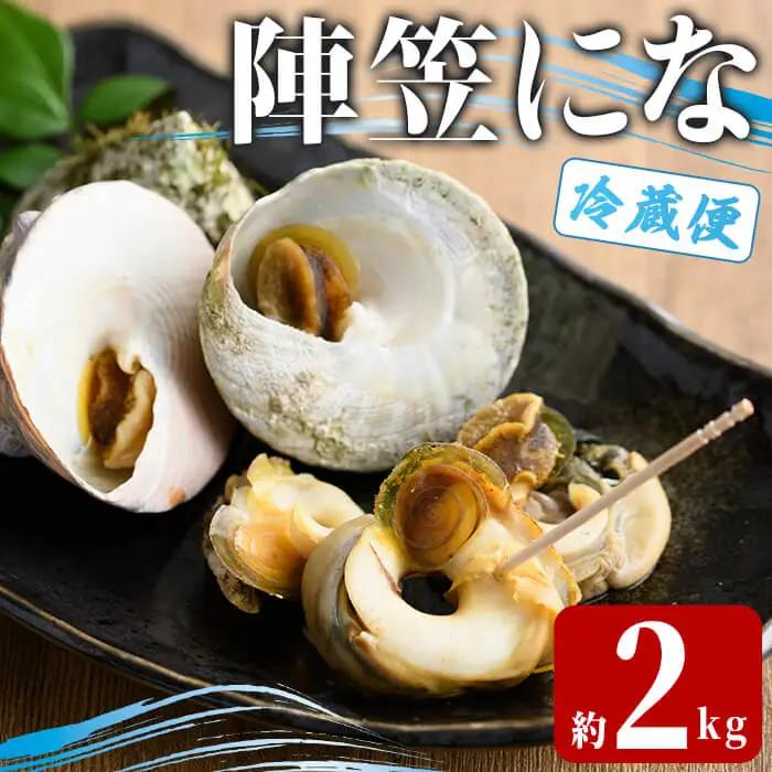 陣笠にな (約2kg) 魚介 貝 にな ニナ 海鮮 バーベキュー 【opba013】【海べ】