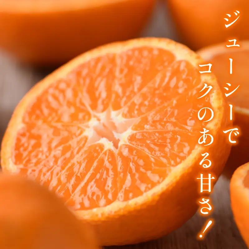 【先行予約】宗方印 温州みかん（家庭用）約2kg