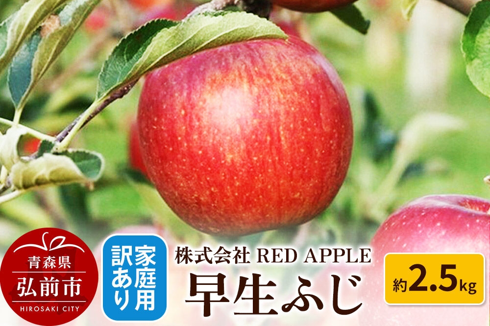 
                  【26年10月発送】りんご【訳あり】家庭用 早生ふじ 約2.5kg 先行受付 [アップル おいしい ふじ りんご 果実 果物 赤色 早生 美味 林檎] [u9]
                