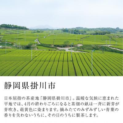 ふるさと納税 掛川市 旬の香りを飲み比べ 5種の新茶 満喫セット 合計400g　2026年5月より順次発送【39537】 |  | 03
