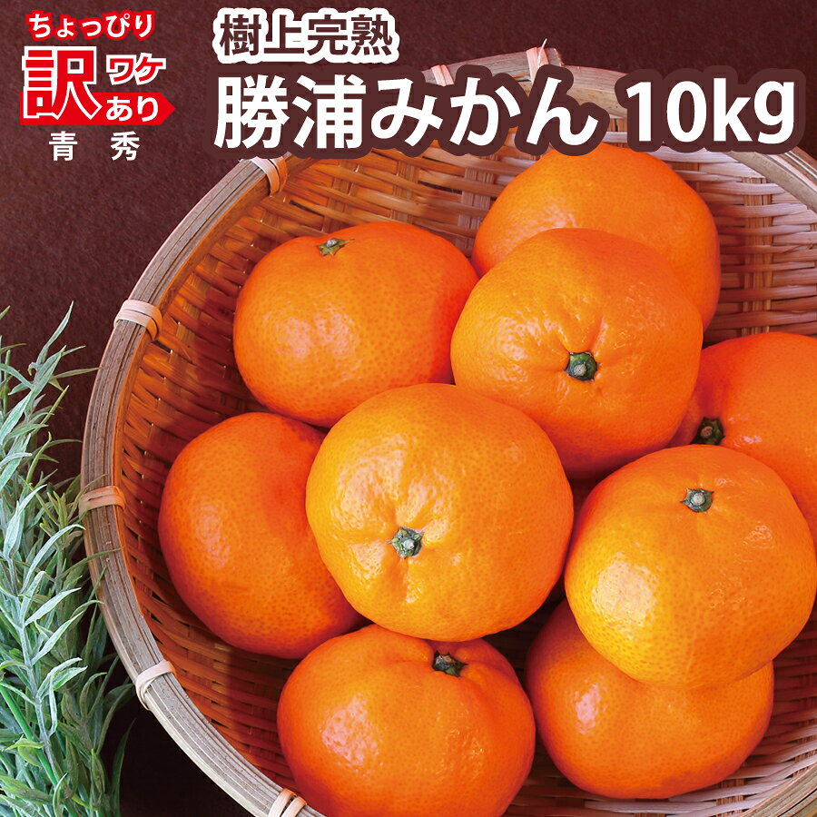 【ふるさと納税】上村農園 訳あり 完熟早生みかん 青秀 SS-LLサイズ 10kg