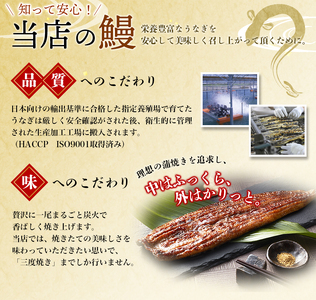 うなぎ うなぎ蒲焼 2尾 計約430g～480g （タレ・山椒付き）【nks700B-y】