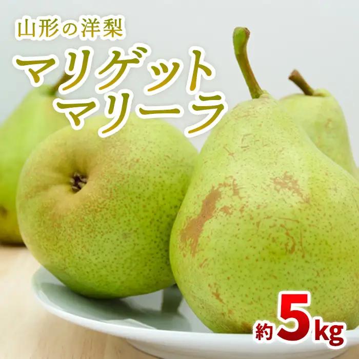 山形の洋梨 マリゲットマリーラ 秀品 約5kg(7～15玉)【令和8年産先行予約】FS23-863 くだもの 果物 フルーツ 山形 山形県 山形市 2026年産