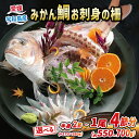 【ふるさと納税】 真鯛 みかん 鯛 半身 2節~ 1尾 4節 柵 刺身 選べる 容量 宇和島プロジェクト マダイ タイ みかん鯛 お刺身 お刺し身 刺し身 パック フィーレ ロイン 手軽 海鮮 鯛めし 鯛茶漬け 鯛しゃぶ 塩焼き 煮付け アレンジ 蜜柑 mikan tai 柑橘 冷凍 国産 愛媛 宇和島