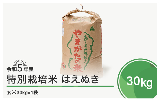 
令和5年産 米 はえぬき 30㎏ 大石田町産 特別栽培米 玄米
