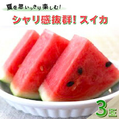 【ふるさと納税】【先行予約/2026年8月上旬より発送】3玉!夏を思いっきり楽しむ!シャリ感抜群!スイカ【ぷちっと】【配送不可地域：離島・北海道・沖縄県】【1685555】