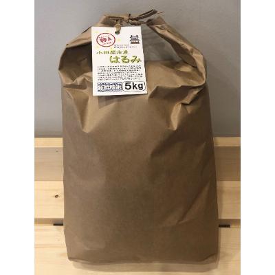 ふるさと納税 小田原市 令和7年産 小田原の米「はるみ」10kg(5kg×2)