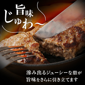 【毎月お届け】むなかた牛ハンバーグ12個セット 12ヶ月定期便【道の駅むなかた】_HB0143