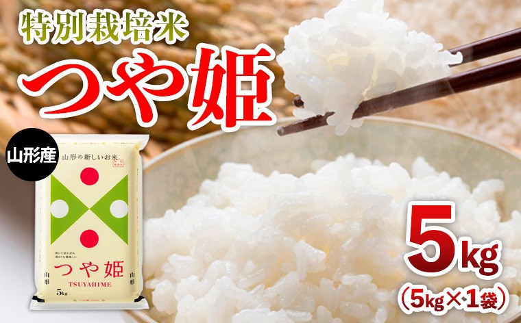 
                  山形産 特別栽培米 つや姫 5kg FZ26-905
                