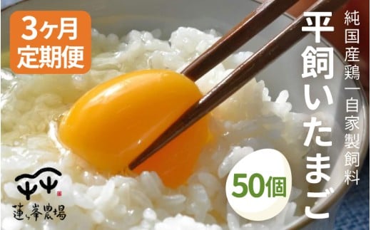 【定期便】 平飼いたまご 50個×3ヶ月 【 卵定期便 たまご定期便 平飼い卵 非遺伝子組み換え 自家配合 たまご タマゴ 平飼い 卵 国産 純国産鶏 もみじの平飼い卵 京都奥丹波 綾部 京都 蓮ヶ峯農場 】