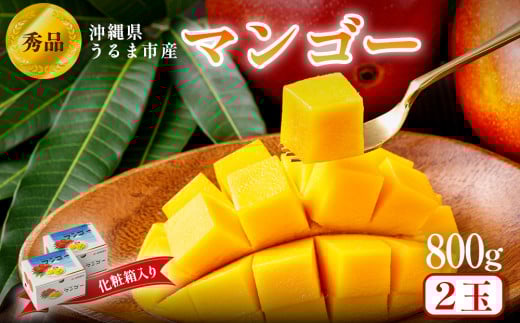 沖縄県 うるま市産 完熟 マンゴー 秀品 800g【2025年発送】