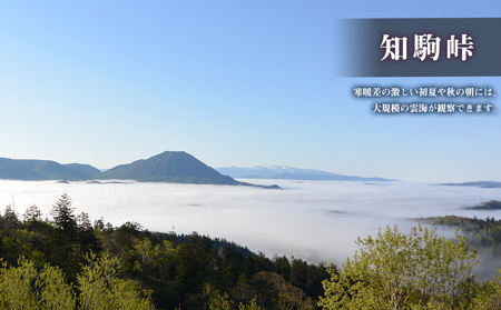 北海道 中頓別町 ☆応援寄附金☆【返礼品なし】5,000円分 ふるさと納税 寄附のみ