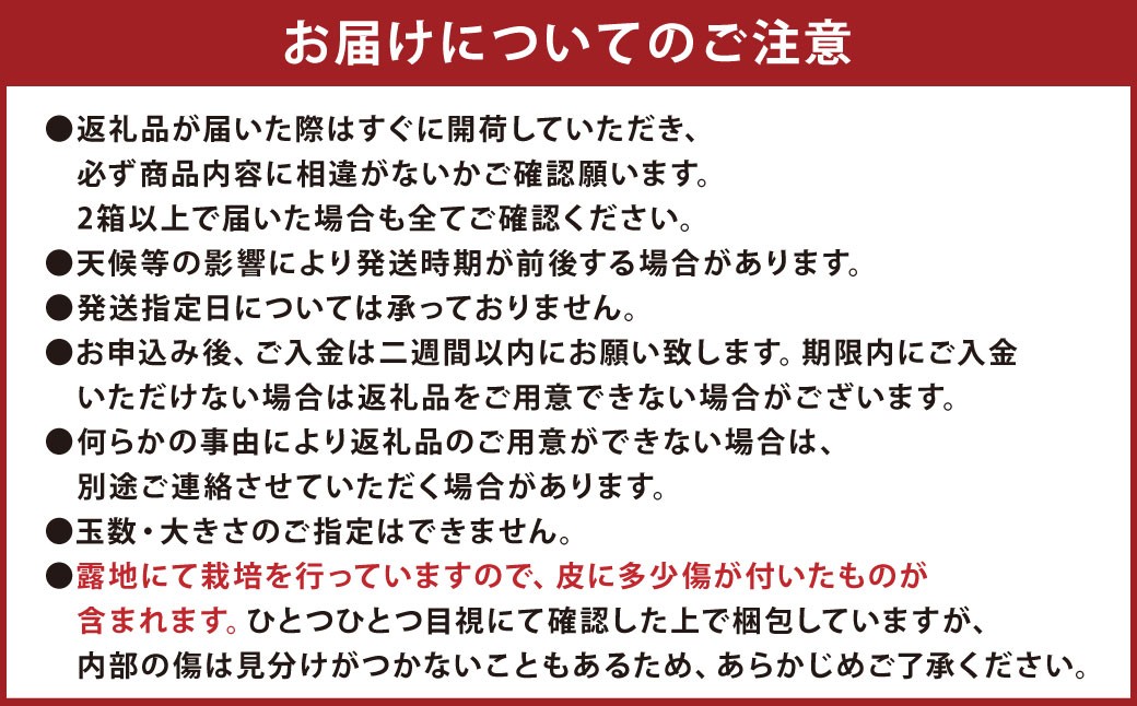 特別栽培みかん 10kg サイズミックス