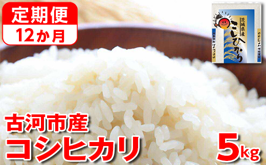 【新米】【定期便 12か月】令和6年産 古河市産コシヒカリ 5kg◇ ｜ 米 こめ コメ 5キロ 定期便 こしひかり コシヒカリ 古河市産 茨城県産 贈答 贈り物 プレゼント 茨城県 古河市 直送 産地直送 送料無料 _DP36