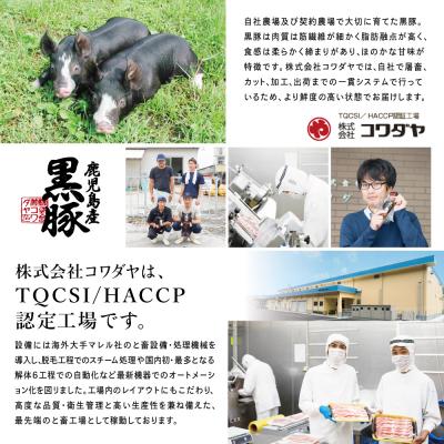 ふるさと納税 南さつま市 【鹿児島県産】黒豚の炭焼き焼豚6本セット |  | 03