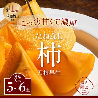 ふるさと納税 由良町 先行受付　柿(種無し)　赤秀品大玉　6個入　約1.8kg