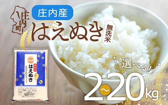 
                  庄内産 はえぬき 無洗米 選べる内容量！2kd / 5kg / 6kg / 2kg×5袋 / 10kg / 15kg / 20kg 令和7年産 2025年産 余目産 余目町農協 あまるめ ブランド米 米 国産 単一原料米 山形 庄内平野 コシヒカリの原点、亀の尾発祥の地 庄内
                