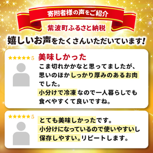 ＼6ヶ月連続 定期便／ 切り落とし 肉 牛肉 小分け 真空冷凍 いわて牛 500g (総計 3,000g) 岩手県産 和牛 牛肉 黒毛 和牛 切り落とし肉 大容量 肉 すき焼き 肉じゃが 煮込み 煮物