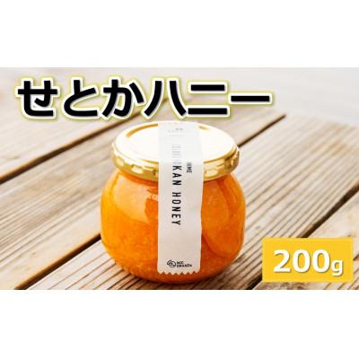 ふるさと納税 今治市 せとかハニー200g×1個(株式会社M.S.NAVY)【VA00590】