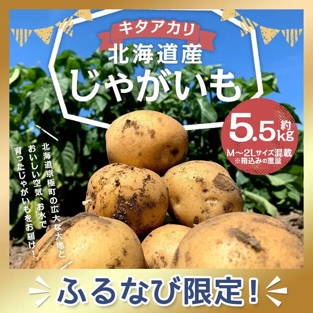 【 ふるなび限定 】 北海道産じゃがいも ( キタアカリ ) 約5.5kg 山田農場 FN-Limited じゃがいも ジャガイモ いも イモ 芋 野菜 やさい 栗じゃが 産地直送 国産 北海道産 【 2026年9月下旬-2027年1月上旬迄発送予定 】
