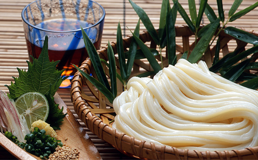 讃岐うどん「幽玄プレミアム」特別ご贈答セット10人前 (プレミアム半生めん100g×10、幽玄の露200ｍl×1) セット 詰合せ 讃岐 半生 さぬき うどん ギフト 贈り物 四国 F5J-341