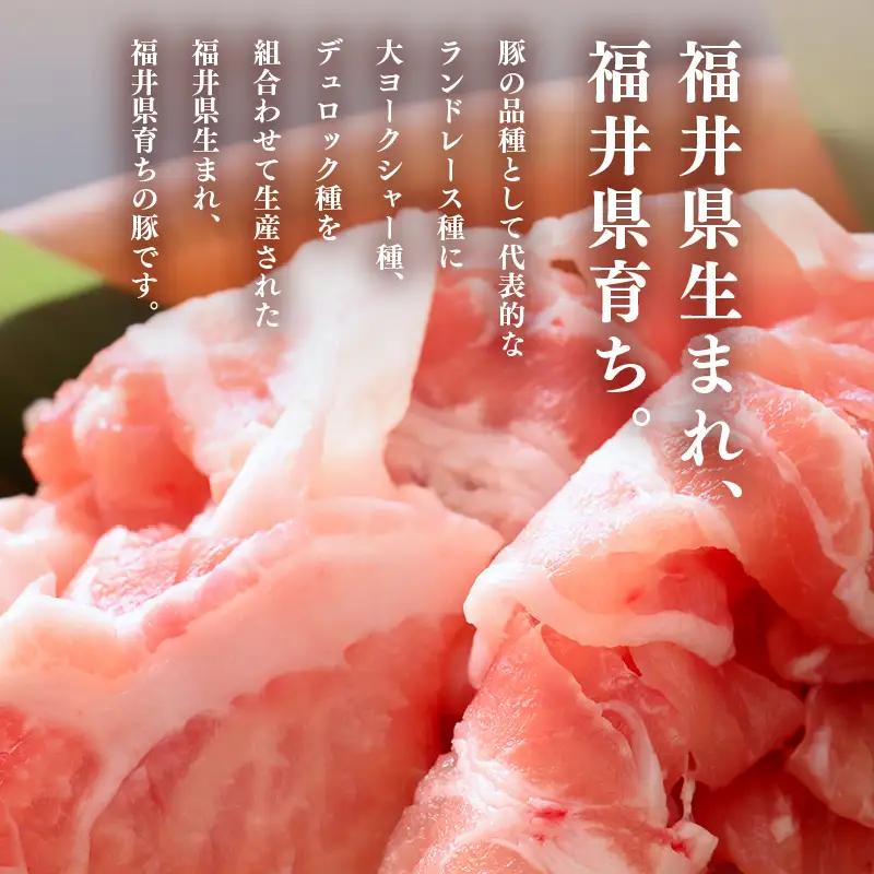 【定期便】ブランド豚定期便 3回 ふくいポーク 切落し 豚肉 冷凍  [e02-b024]