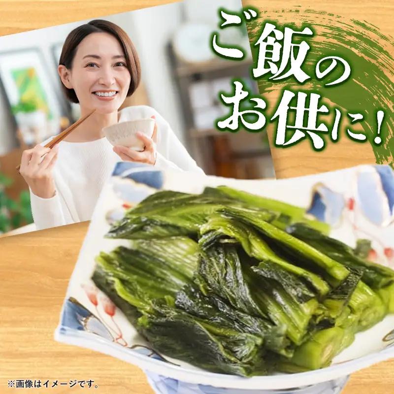 せいさい漬け 1kg - 漬物 先行受付 先行予約 青菜漬 ご飯のお供 おつまみ おすすめ 送料無料 山形県 飯豊町