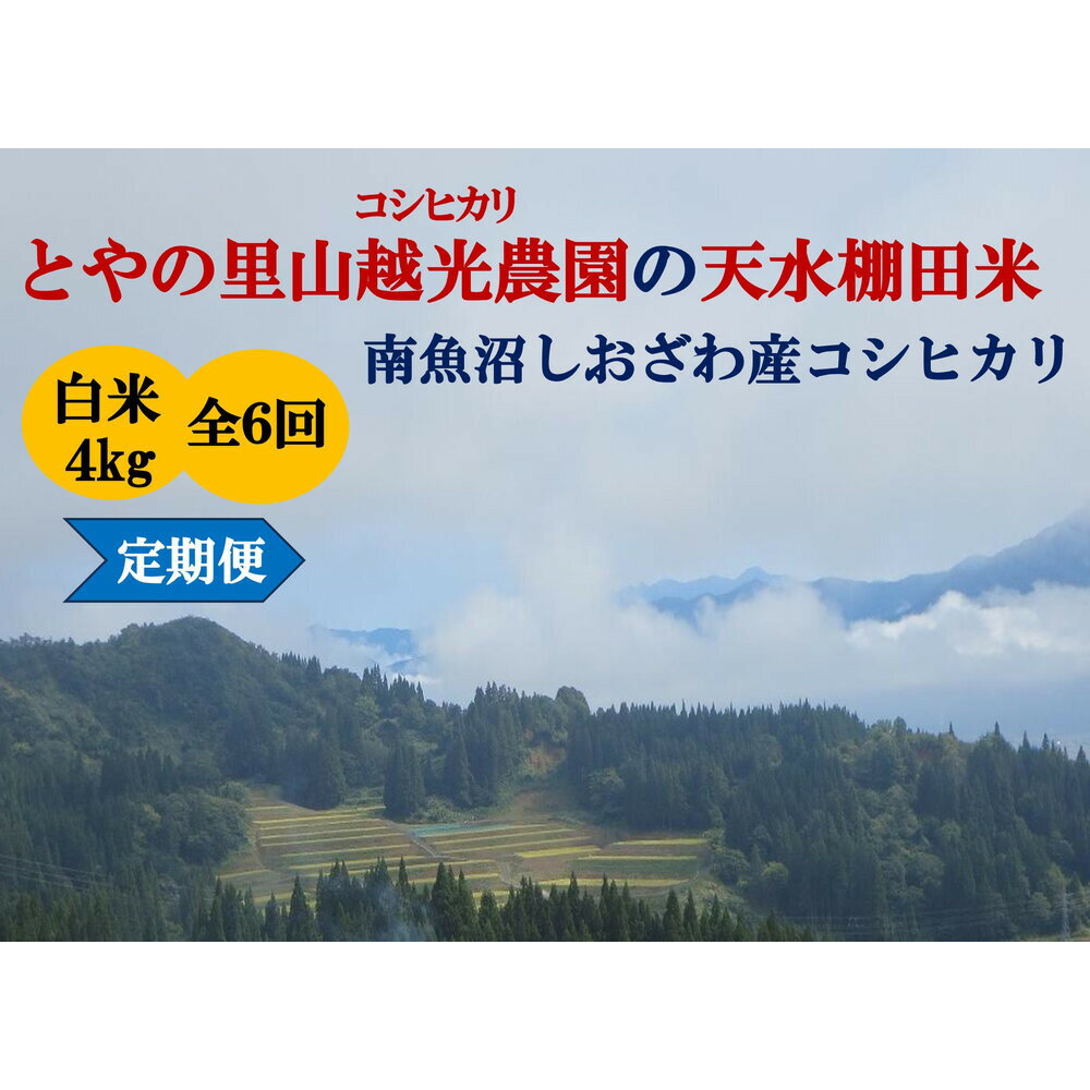 【ふるさと納税】定期便「とやの里山継承プロジェクト対象」【天水棚田米】南魚沼塩沢産コシヒカリ　精米4kg全6回