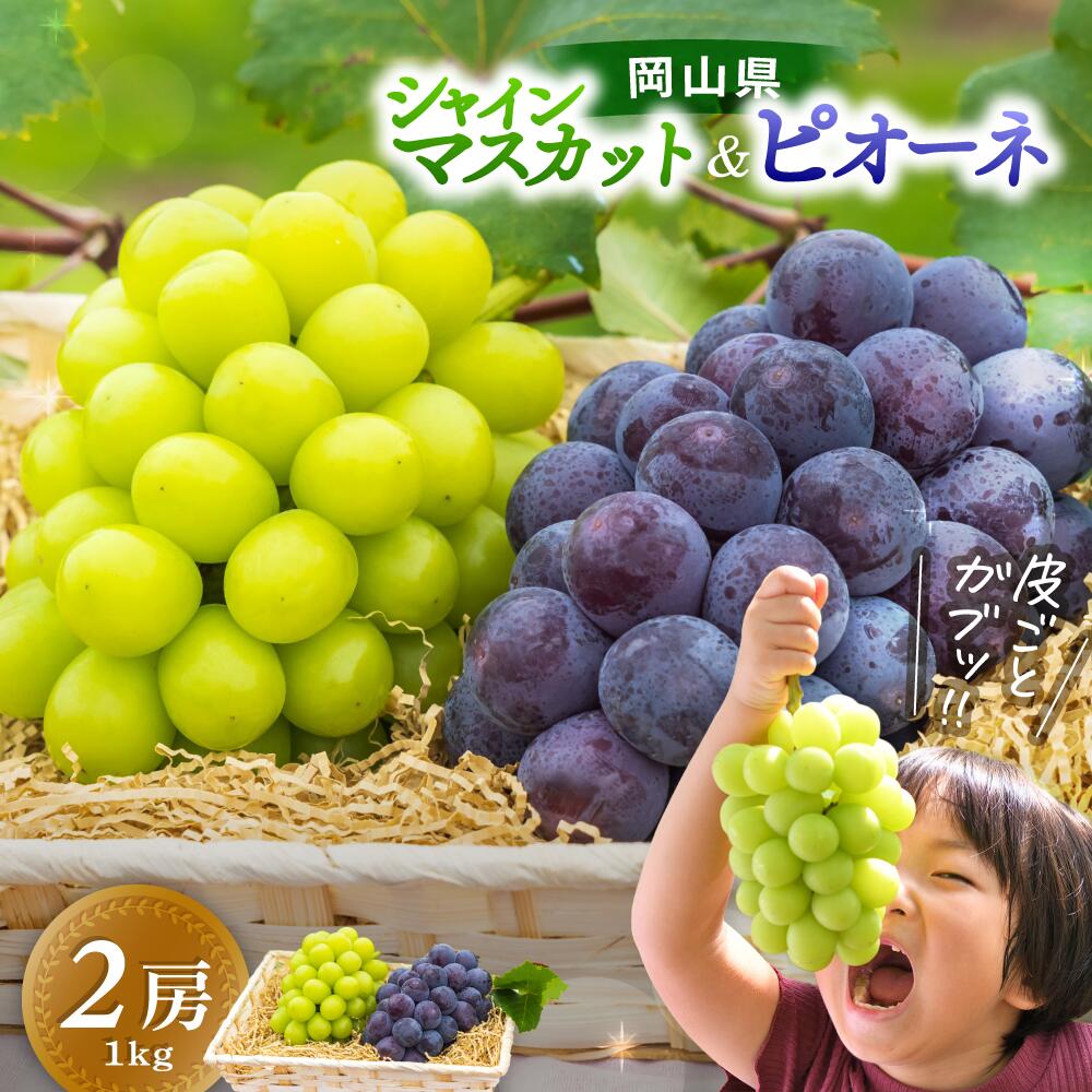 【ふるさと納税】 【高糖度】シャインマスカット&ニューピオーネ 1kg～1.5kg（2房） 贈答用にも 花笑み農園厳選 大粒 PS-1 【2025年9月中旬～順次発送予定】【配送不可地域：離島】 贈答用 岡山 真庭 ピオーネ シャインマスカット 高級 贈答 真庭市 葡萄