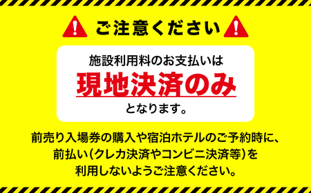 スパリゾートハワイアンズ    施設利用券10,000円分（5,000円分×2枚）プラン別利用券【王道】日帰りファミリー向け | 利用チケット 入場券 宿泊代 ホテルハワイアンズ モノリスタワー ウイ