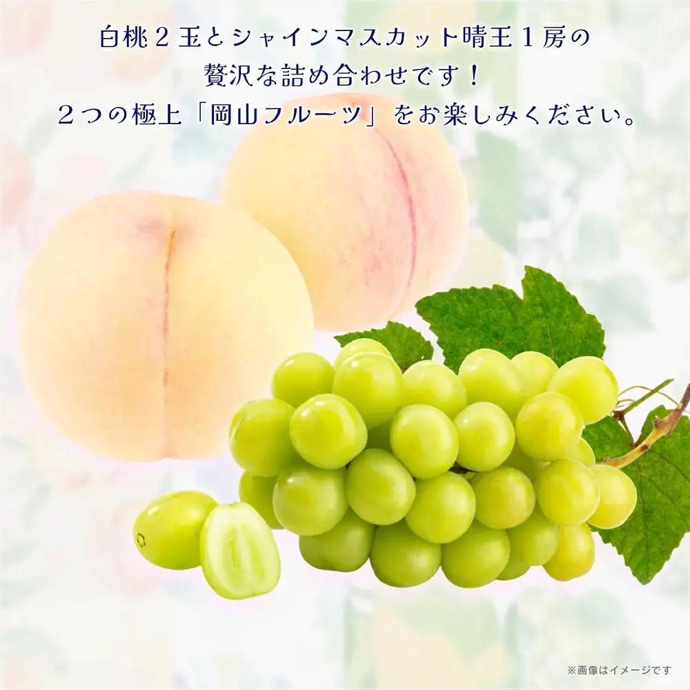 岡山白桃2玉（約500ｇ）＆シャインマスカット晴王1房（約500ｇ）化粧箱入