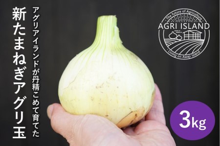 【アグリアイランド】【新玉予約】淡路島新たまねぎアグリ玉３kg  ◆配送３月下旬～