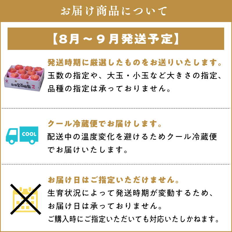 2025年産 先行予約【品種おまかせ:8月中旬～9月発送予定】元祖のこだわり桃 約3kg