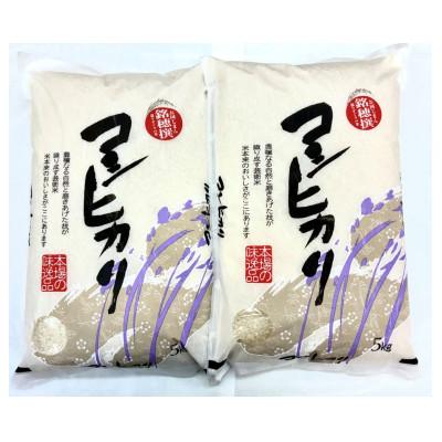 ふるさと納税 日南市 ≪数量限定≫コシヒカリ計10kg(5kg×2袋)