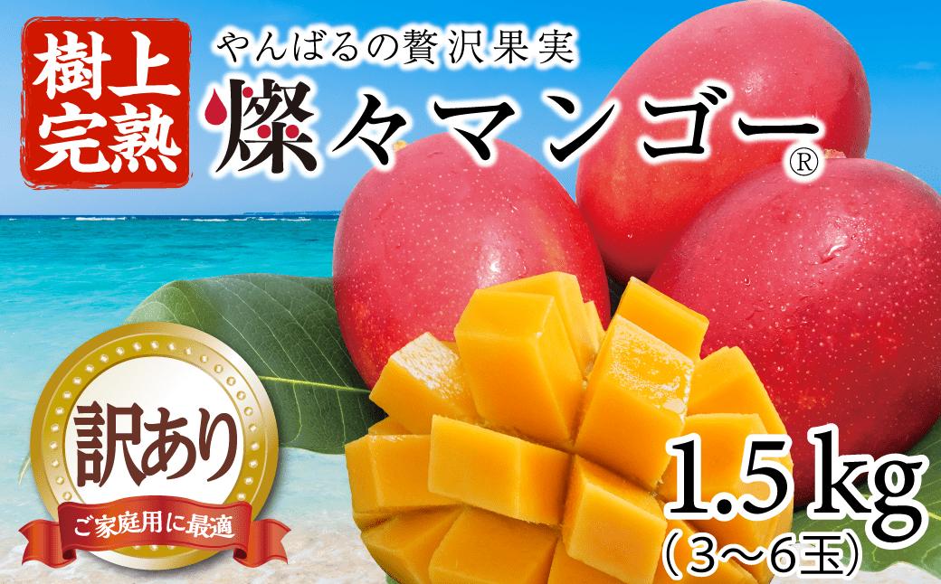 【樹上完熟】燦々マンゴー【訳あり品1.5Kg（3～6玉）】