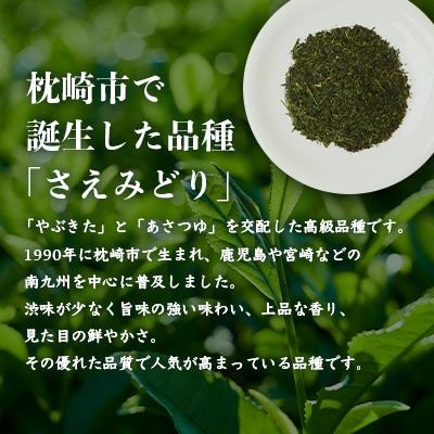 ふるさと納税 枕崎市 1番茶(新芽)のみを使用 有機煎茶【さえみどり】KAORU園 (100g×3本)  B3-60 |  | 02