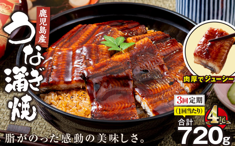 【全3回定期便】鹿児島産うなぎ蒲焼 180g×4尾 清らかな地下水育ち！　KN021-T39