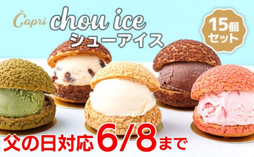 シューアイス GIFT BOX 15個セット