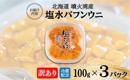 訳あり 北海道 噴火湾産 塩水 バフンウニ 100g 3パック 計300g うに ウニ 雲丹 海鮮 海の幸 魚介類 ウニ丼 お寿司 濃厚 無添加 産地直送 お取り寄せ 山村水産 送料無料