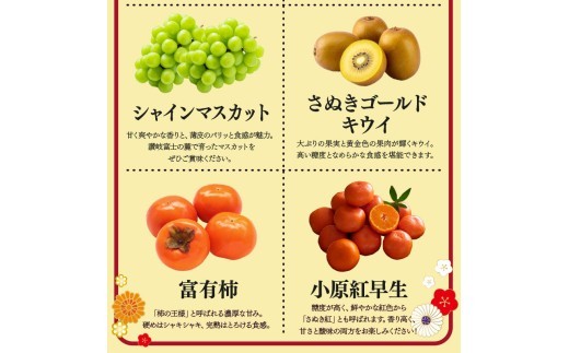 【定期便6回】 【お試しパック】 フルーツ 果物 定期便  お試しパック ミニ いちご 桃 シャインマスカット デコポン ピオーネ みかん 小原紅早生 苺 さぬきひめ もも 飯山の桃 ニューピオーネ 