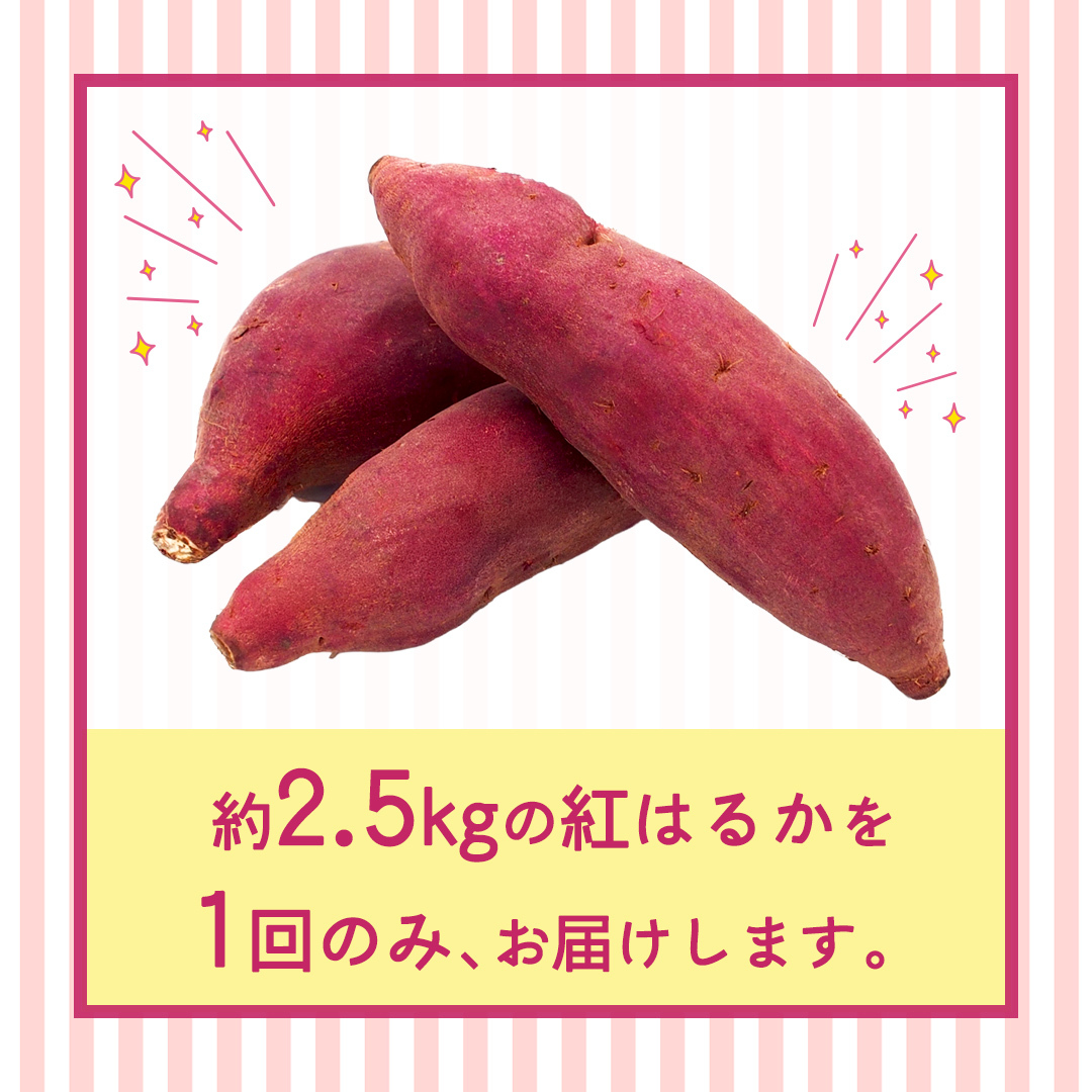 紅はるか 約 2.5kg （茨城県共通返礼品 [さつまいも]：行方市産） べにはるか さつまいも 生芋 芋 サツマイモ 甘い 焼き芋 スイートポテト ねっとり 茨城県産 お取り寄せ 野菜 根菜 いも 