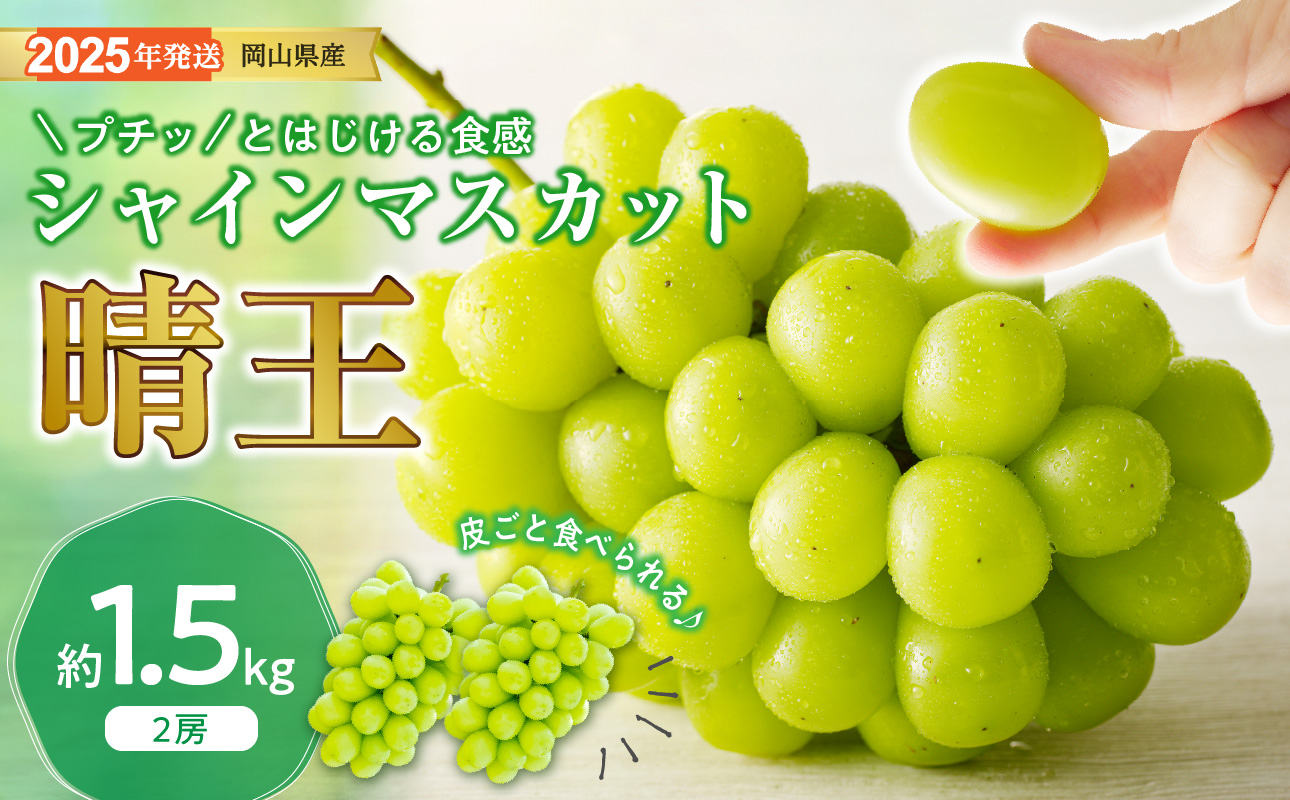 【2025年発送分 先行受付スタート】岡山県産シャインマスカット「晴王」 秀品 約1.5kg（2房）（令和７年8月中旬～11月中旬頃発送）【 シャインマスカット 晴王 フルーツ 果物 くだもの 葡萄 ぶどう 御中元 ギフト プレゼント 御祝 岡山県産 秀品 種無し 高糖度 hzS-M 】