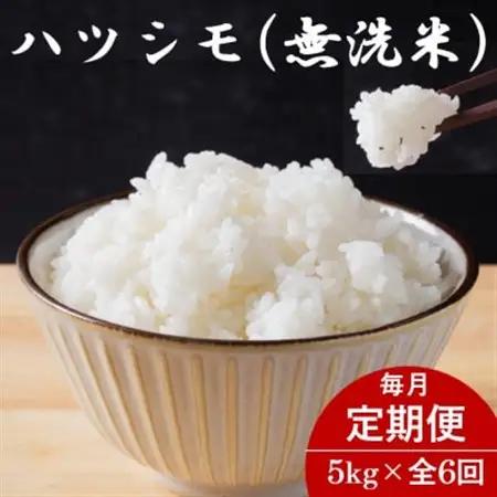 【毎月定期便】岐阜県産ハツシモ(無洗米) 5kg全6回【配送不可地域：離島】【4076378】