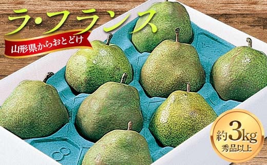 山形県産 ラ・フランス 約3kg FSY-2240