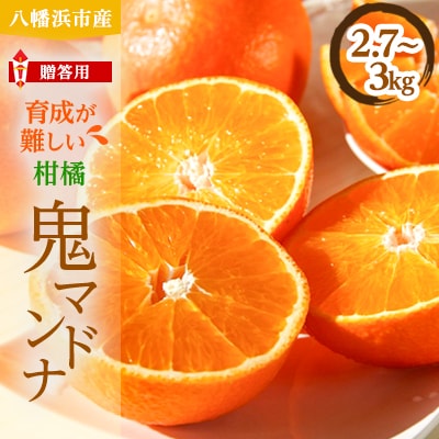 柑橘の鬼たちがつくる八幡浜産・鬼マドンナ(2.7kg〜3.0kg)[贈答用]【E56−16】【配送不可地域：離島】【1250206】