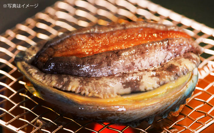 【日付指定必須】五島産養殖 アワビ・バーベキューセット 30個セット 約750g 五島市/（有）都工業 BBQ あわび 鮑 [PEX007]