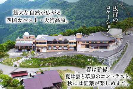 宿泊券 1泊2食付 星ふるヴィレッジTENGU 展望デッキ 付き ツイン (シャワー付き) ペア 宿泊 券 (2名様分)