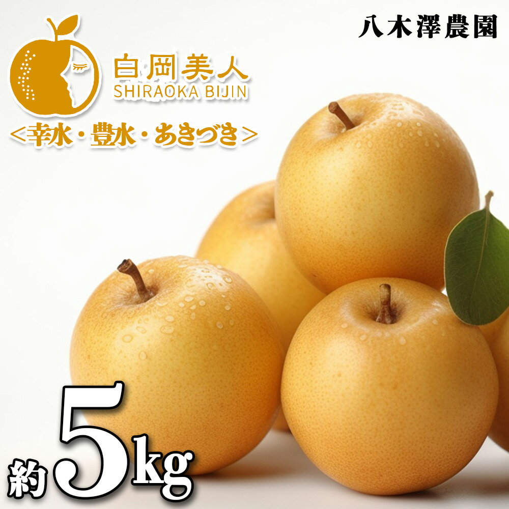 【ふるさと納税】八木澤農園の美味しい梨　約5kg（糖度保証）　幸水・豊水・あきづき　【11246-0267】